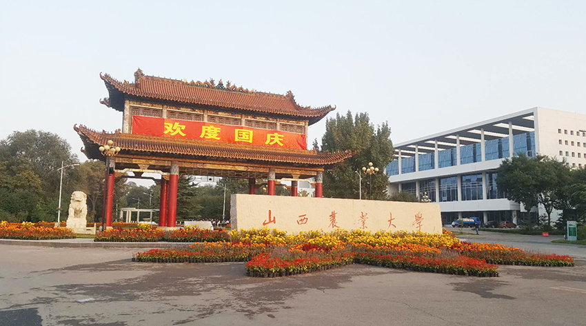 太谷农大地下室